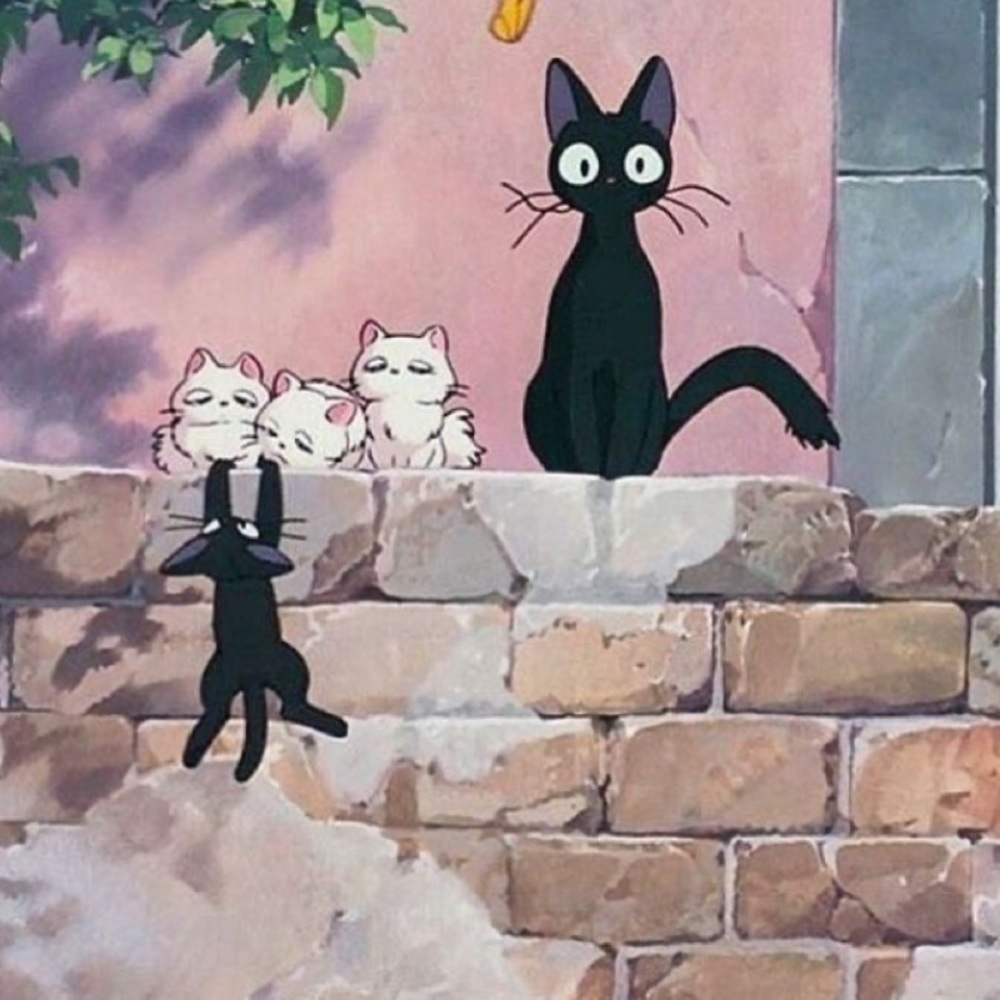 Meet your Posher, Gail